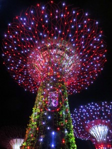 Supertree Grove, Gardens By The Bay  [2015]